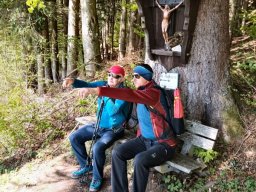 mondseerbergkulmspitz007