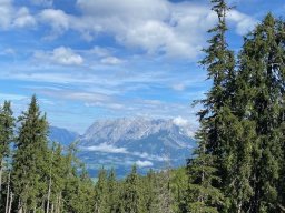 hochgruendeck004