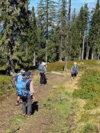 hochgruendeck005