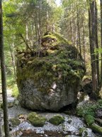 ladenbergbergalm001