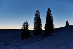 mondscheinwanderung2026013