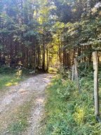 Kranzhorn