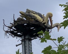 isenrunde009